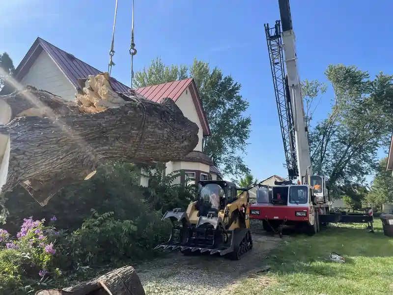 Tree removal service by Tree Sixty Tree Service in La Crosse Wisconsin