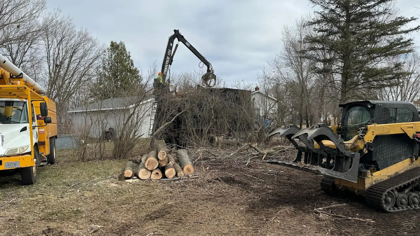 What to Do if Your Tree Falls Unexpectedly