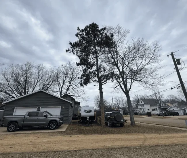 2025-09-17 00_11_59-Tree Sixty Tree Service - Google Maps - Vivaldi